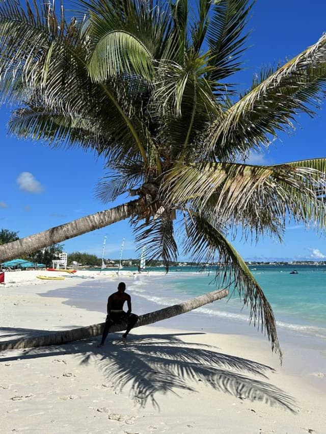 Photo 5 by Ronald B. about hiring a Suzuki Swift in Barbados (21.10.23)