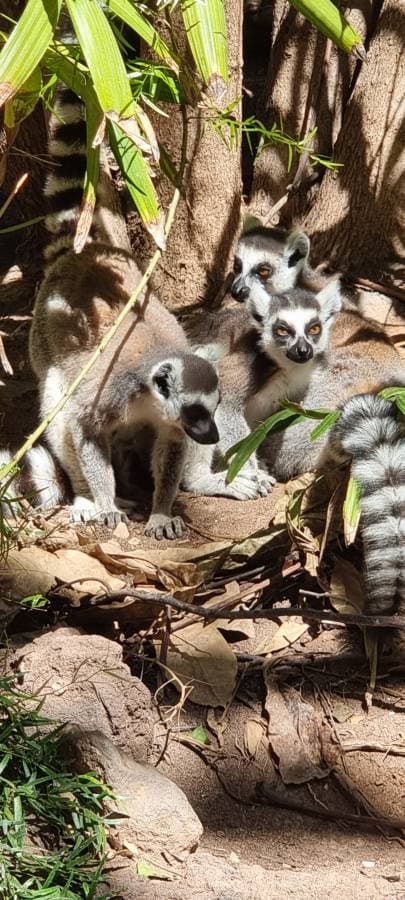 Zdjęcie 9 wykonane przez Andrzej P. (2.03.26)