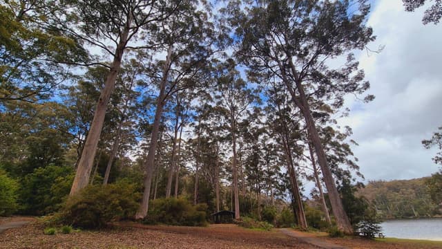 Photo 9 by Fiona P. about hiring a Mitsubishi ASX in Australia (14/11/25)