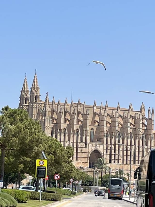 Photo 7 par Carlos Manuel M. (31/07/26)
