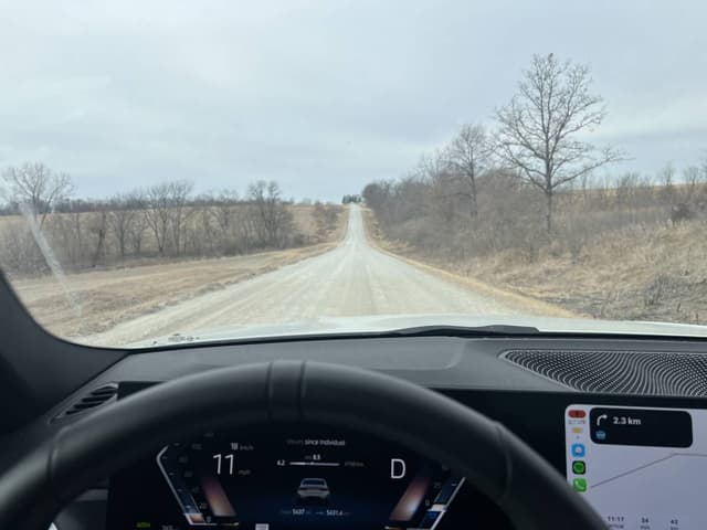 Photo 1 by Mohamed E. (3/2/26)