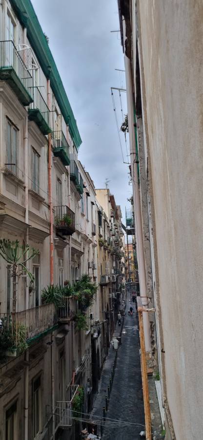 Photo by lavi S. (1/1/23)
