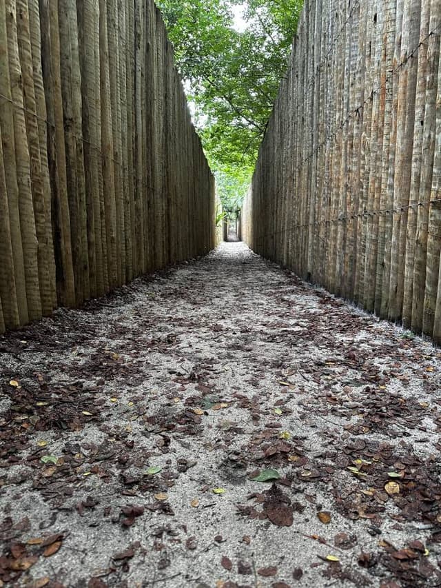 Foto 5 de Dhyego Kassen Fares Bahia D. sobre o aluguer de um Fiat Argo no aeroporto de Porto Seguro (08/08/24)