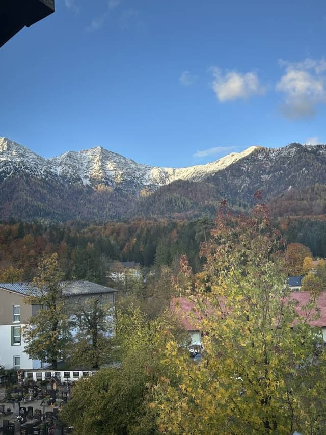 Photo 3 by Justina J. (10/27/25)