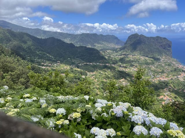 Photo 5 by Pascal Paul Alain W. (6/29/26)