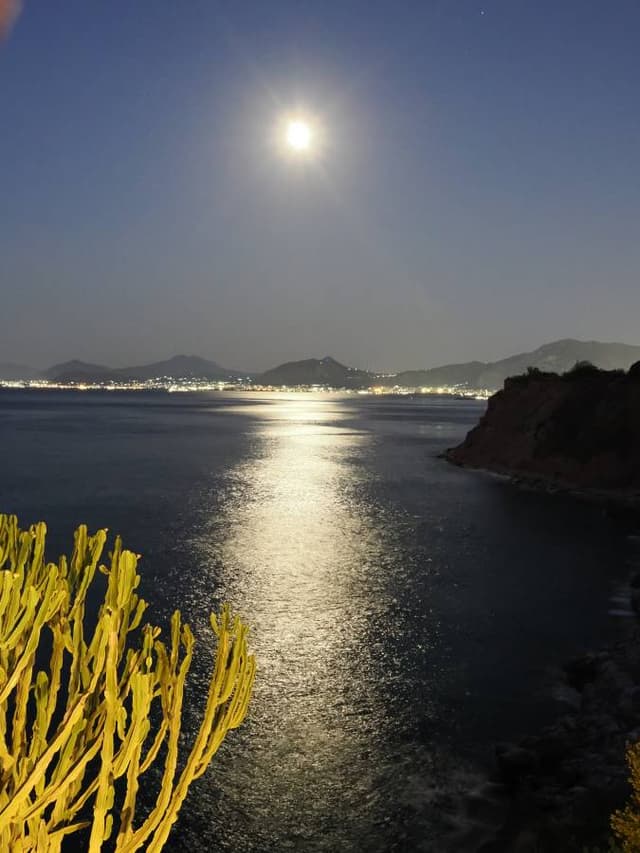 Photo 2 by Glenn M. about renting a Toyota C-HR at Palermo Airport (7/9/25)