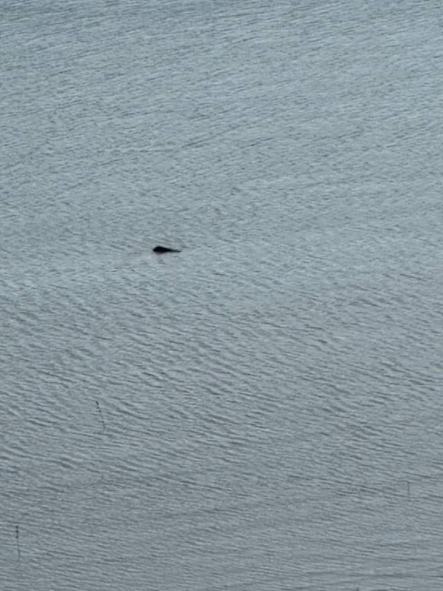 Photo 4 by Lilian M. about renting a Ford Everest in Cairns (11/5/23)