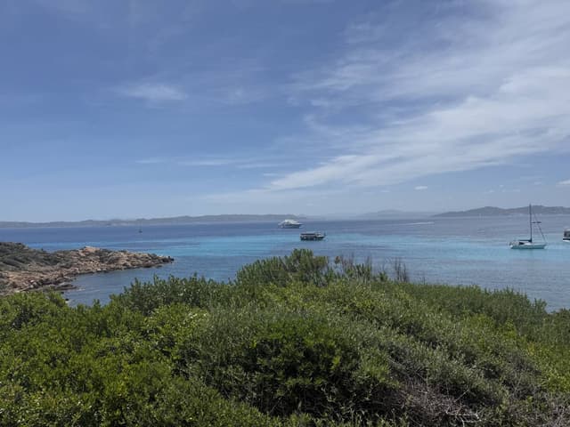 Photo 5 by Anna K. about renting a Fiat Panda in Olbia (5/30/25)