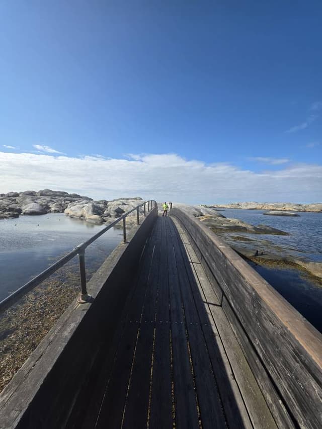 Zdjęcie 4 wykonane przez Anna M. (29.08.25)