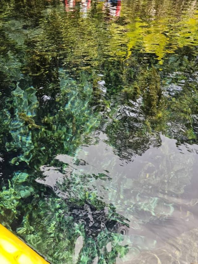 Photo 1 by Pei Yee S. (8/26/24)