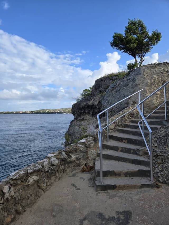 Photo 2 by Mark B. (2/4/26)