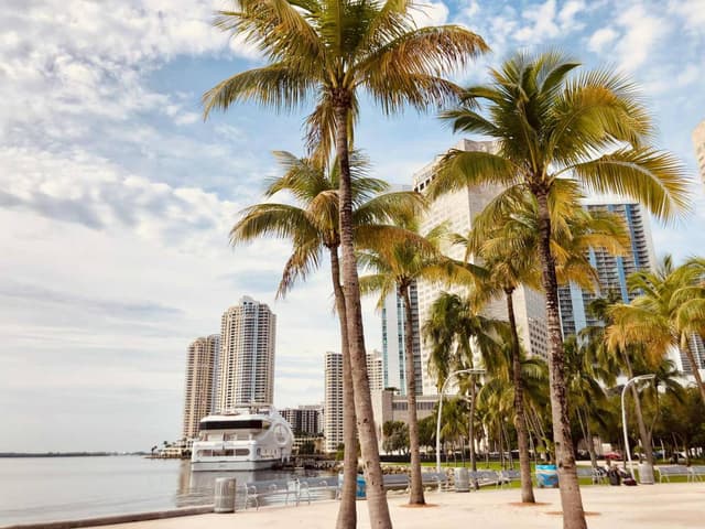 Zdjęcie 5 wykonane przez Piotr S. (15.07.25)