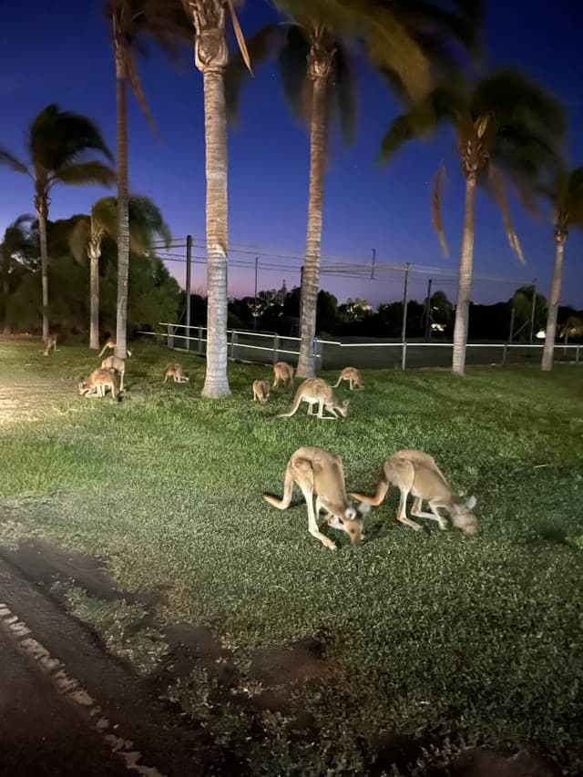 Photo 8 by Andrew G. about hiring a Toyota Corolla at Perth Airport (26/02/24)