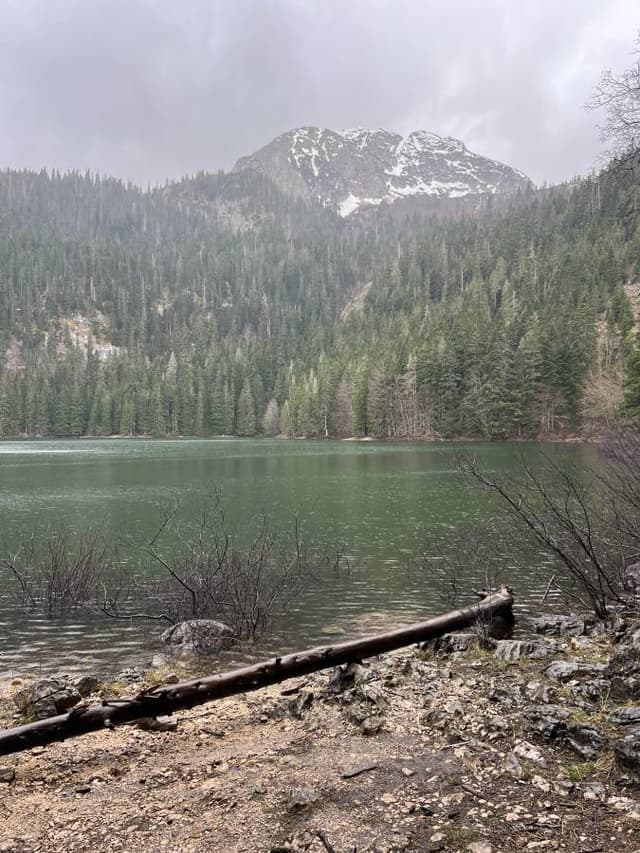 תמונה 3 מאת Yakir Y. (23.4.25)