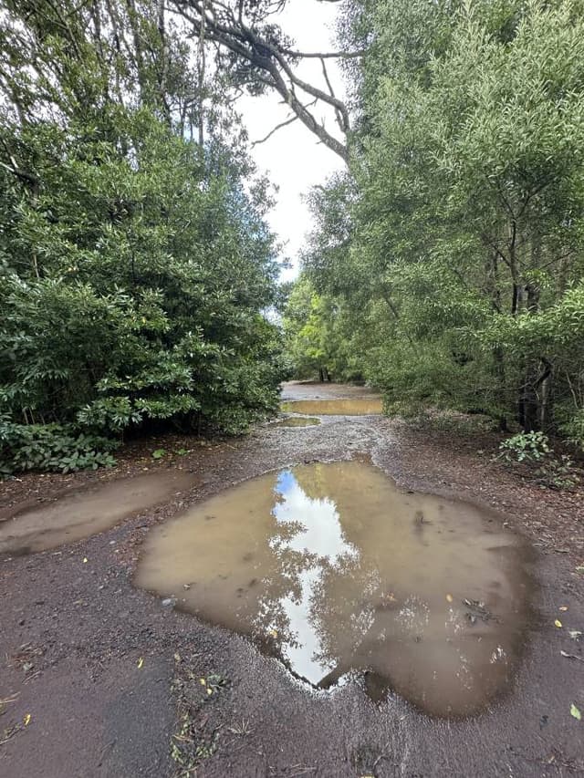 Photo 2 by Jelena K. (1/13/26)