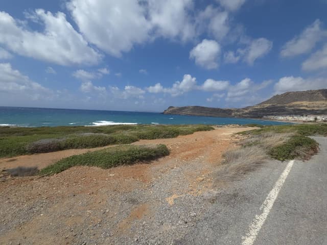 Mihaly R. 4. számú fényképe (25. 08. 10.)