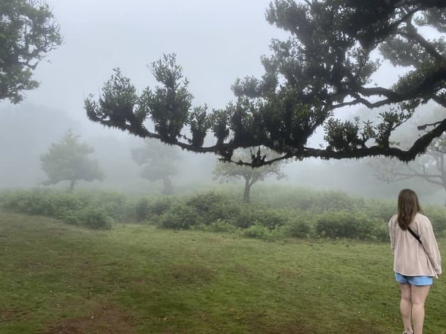 Foto 1 van Inez V. over het huren van een Fiat 500X in Madeira (16-7-25)