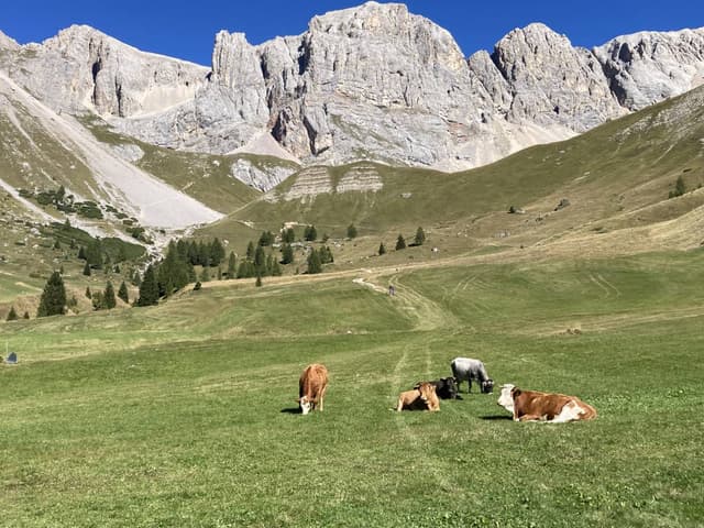Photo 2 by Andrzej S. (9/26/26)