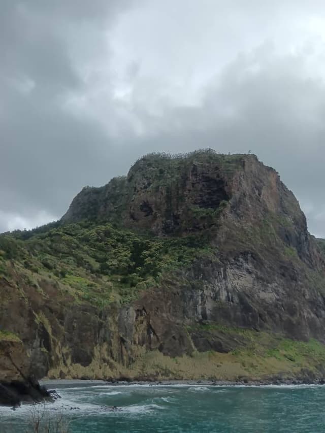 Foto 3 de Maria Fernanda A. (15/03/26)