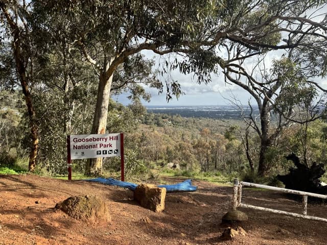 Photo 3 by King Yong N. about hiring a Toyota RAV4 at Perth Airport (29/07/24)