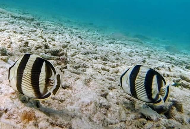 Photo 2 par rejean P. (04/03/26)