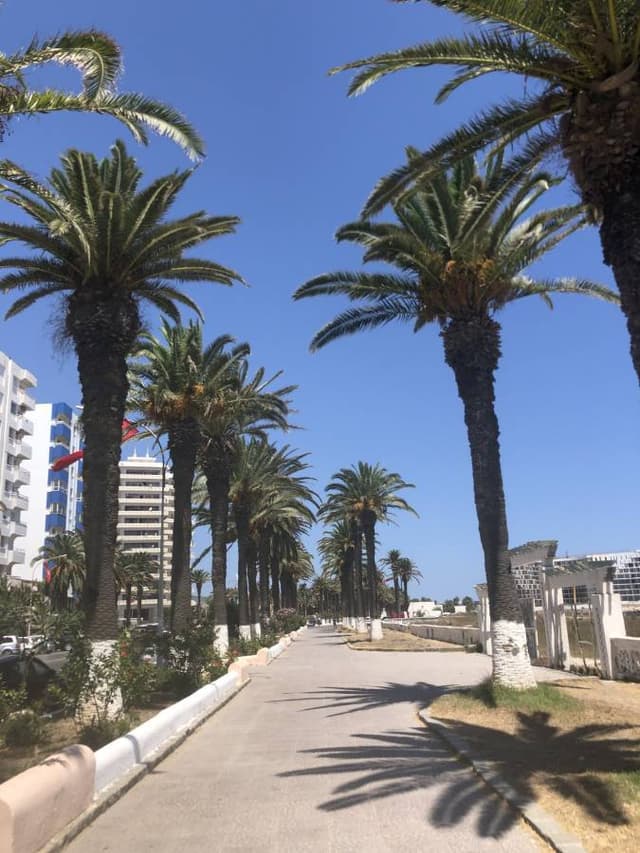 Photo 4 by Hamed M. about hiring a Volkswagen Polo in Tunis (07/08/22)