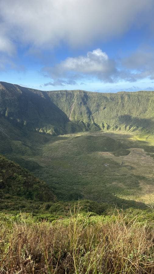 Photo 5 by Jorge B. (11/24/25)