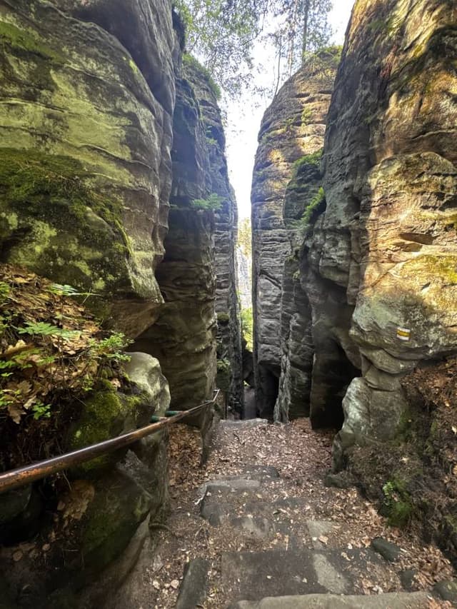 Photo 6 by Edward H. (6/15/26)