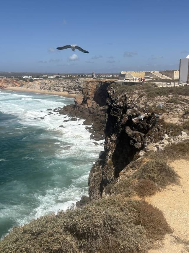 Photo 2 par Laurence P. (06/09/25)