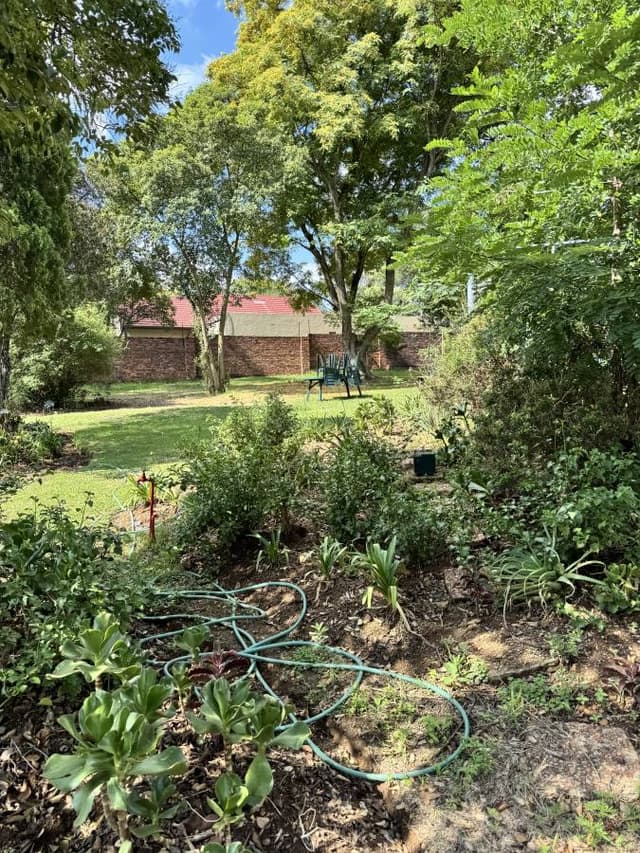 Photo 1 by Rirhandzu T. (12/2/25)