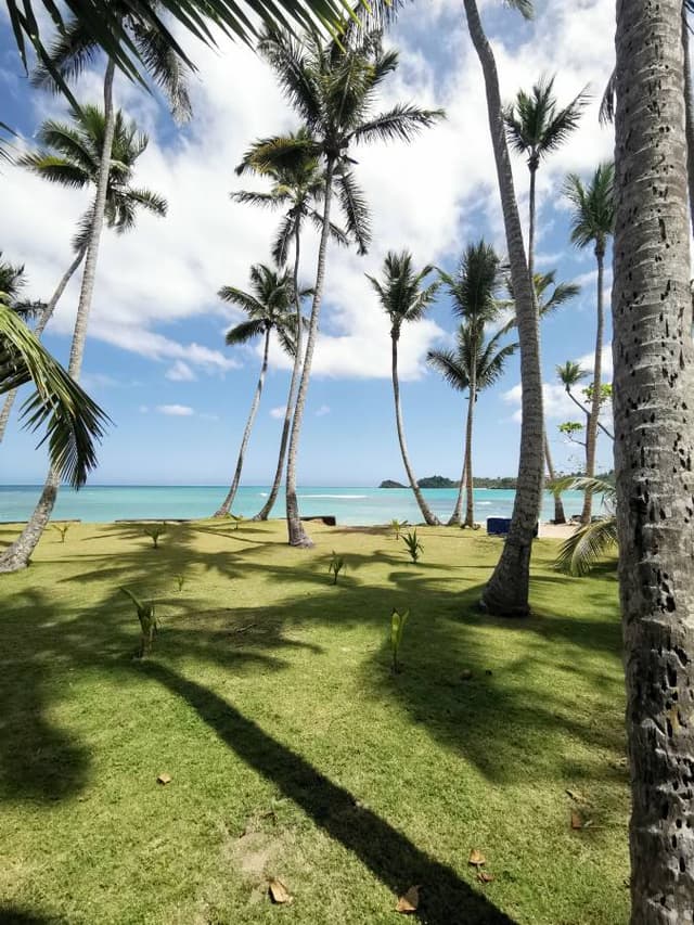 Photo 2 par Patrick L. (22/03/24)