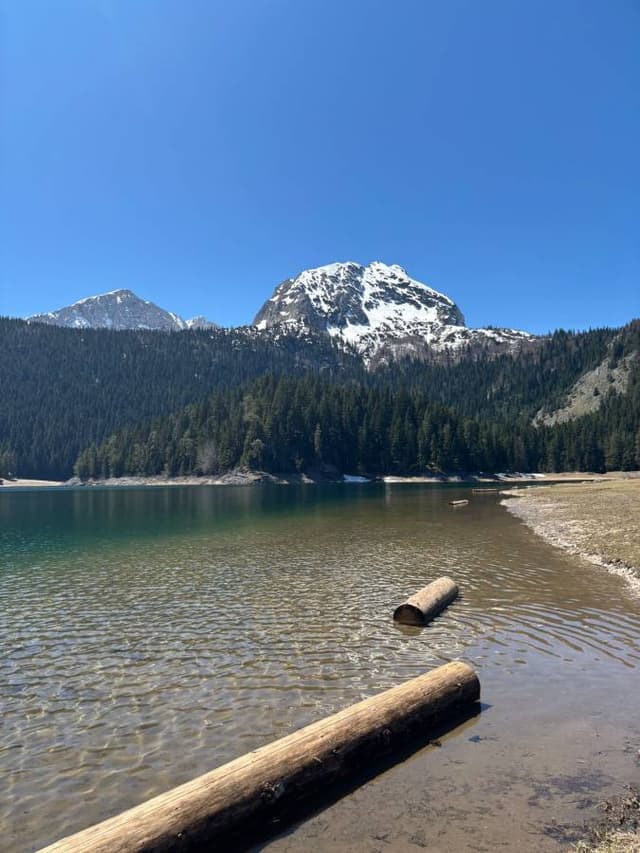 Photo 6 by Liam S. (5/10/26)