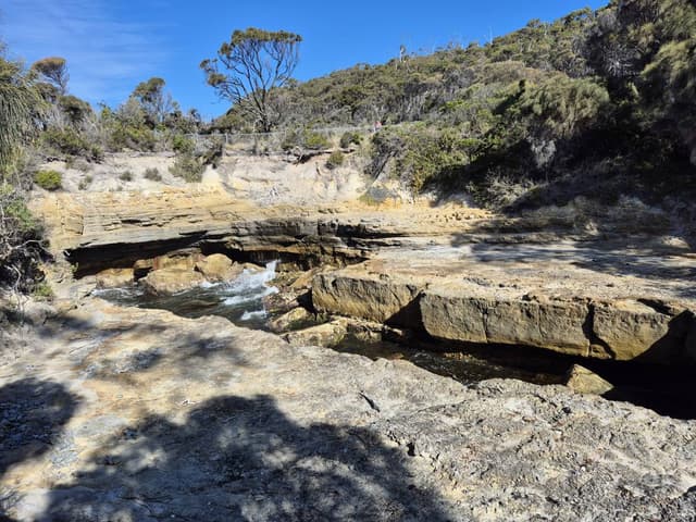 Photo 2 by Chee Kong Y. (1/10/26)