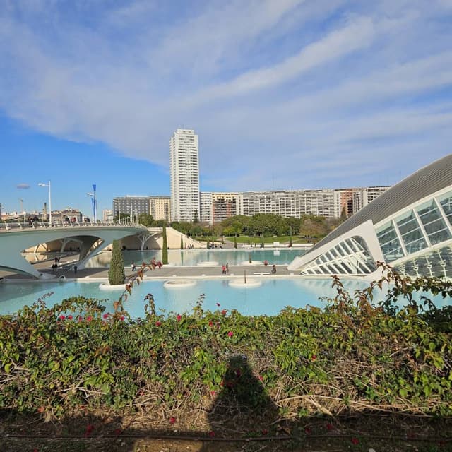 Foto 2 di Mariolina S. (09/01/26)