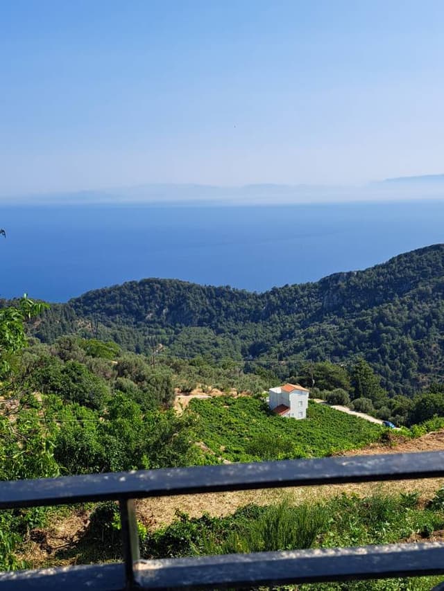 Billede af Susanne P. om at leje en Skoda Citigo i Samos lufthavn (6/14/25)