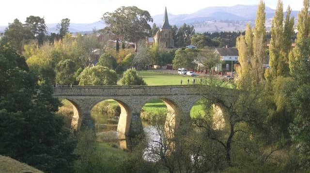 Photo 2 by Robert J. (3/24/26)