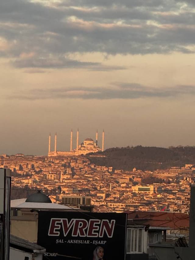 Photo 2 by Adel S. (4/5/26)