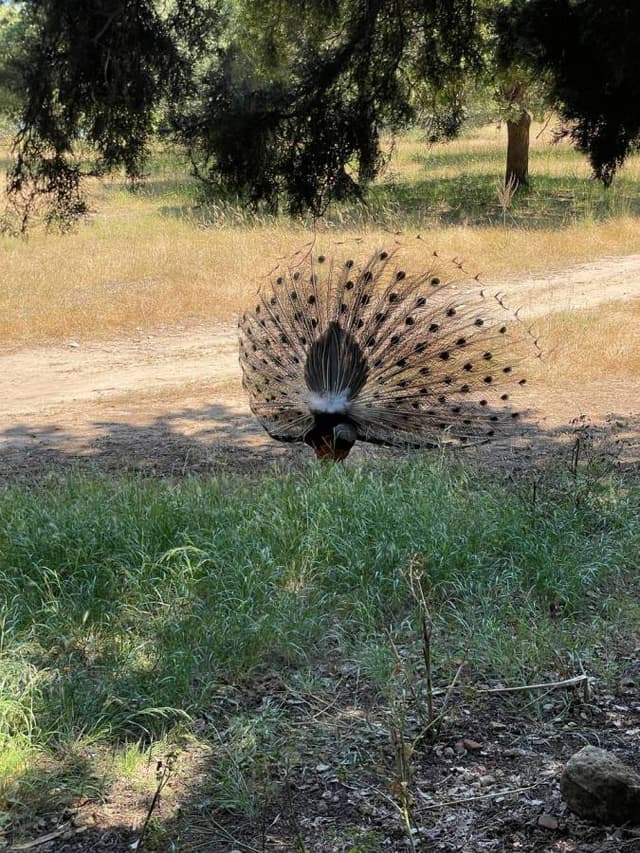 Фото 5 от ILLIA K. об аренде Suzuki Ignis в аэропорту Родоса (10.06.25)