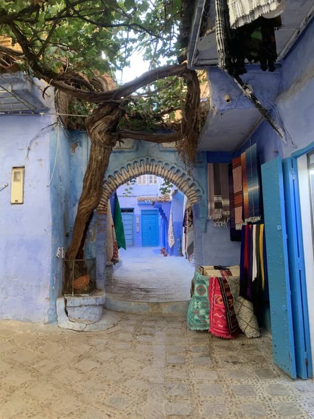 Photo 2 par Barbara P. (27/10/25)