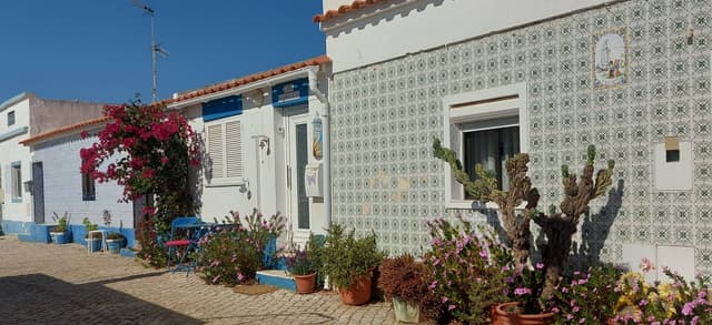 Foto 4 van Frans D. (1-11-25)