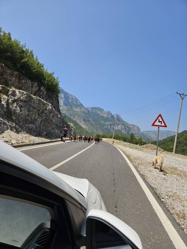 Photo 2 par Ariane G. sur la location d'un Renault Clio à Tirana (26/06/25)