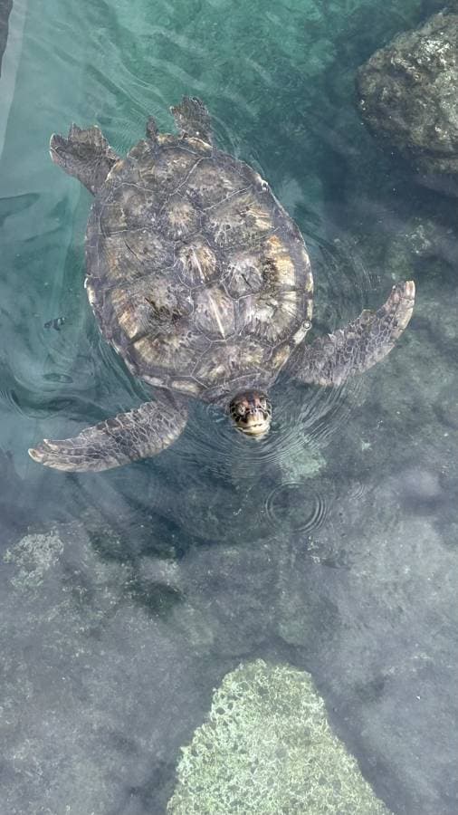 Photo 2 par Anais M. (21/02/26)