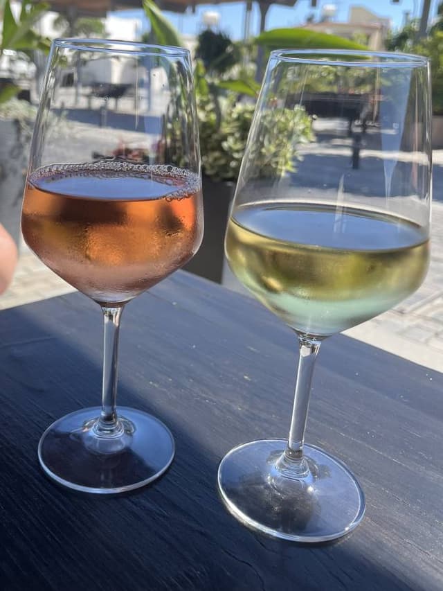 Photo 3 by Shona A. (5/31/25)