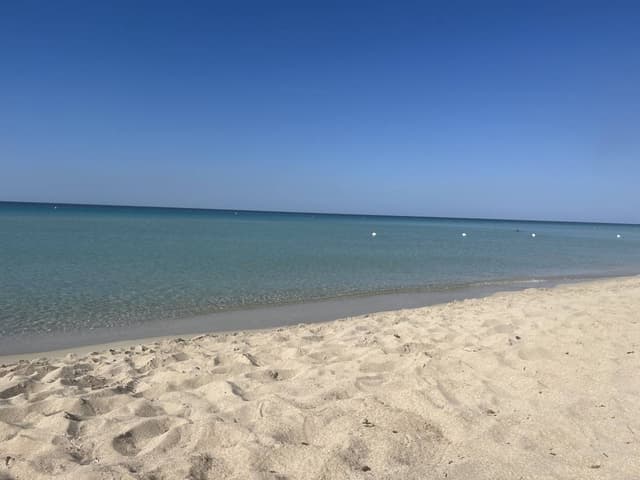Foto 1 di Leonardo R. (23/06/26)