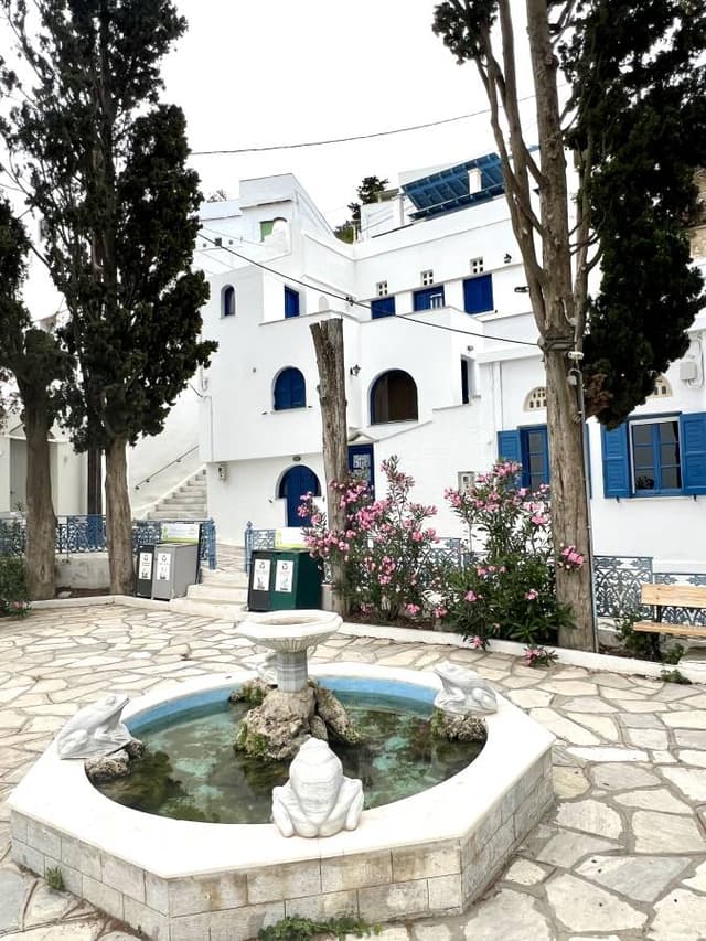 Photo 5 by Lisa B. about renting a Toyota Yaris at Tinos Port (6/17/24)