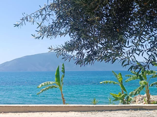Foto 2 di Marini C. (18/06/26)