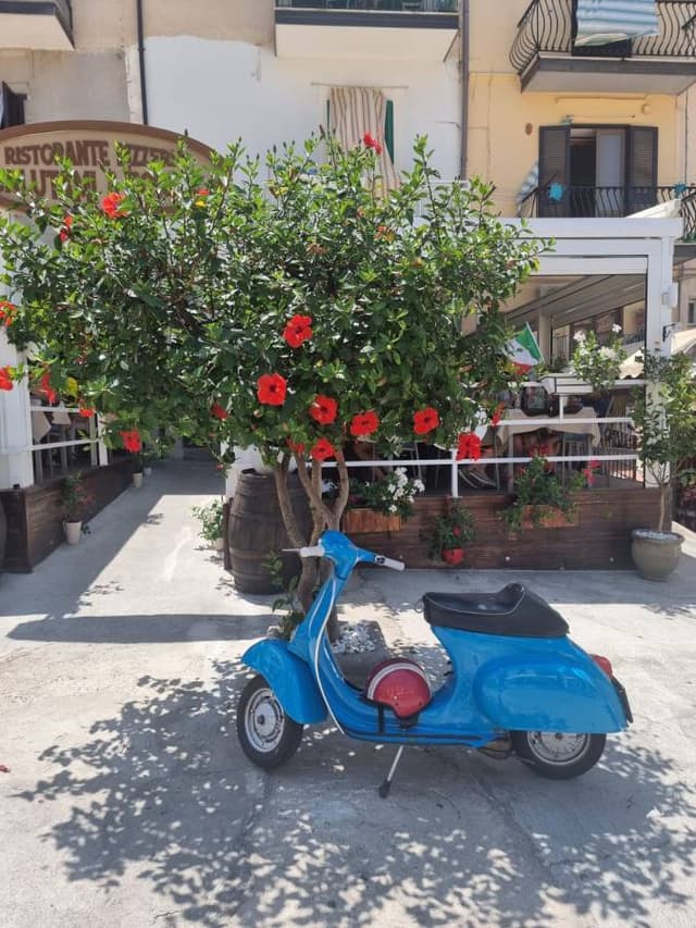 Foto 5 von Yasar C. (27.7.24)