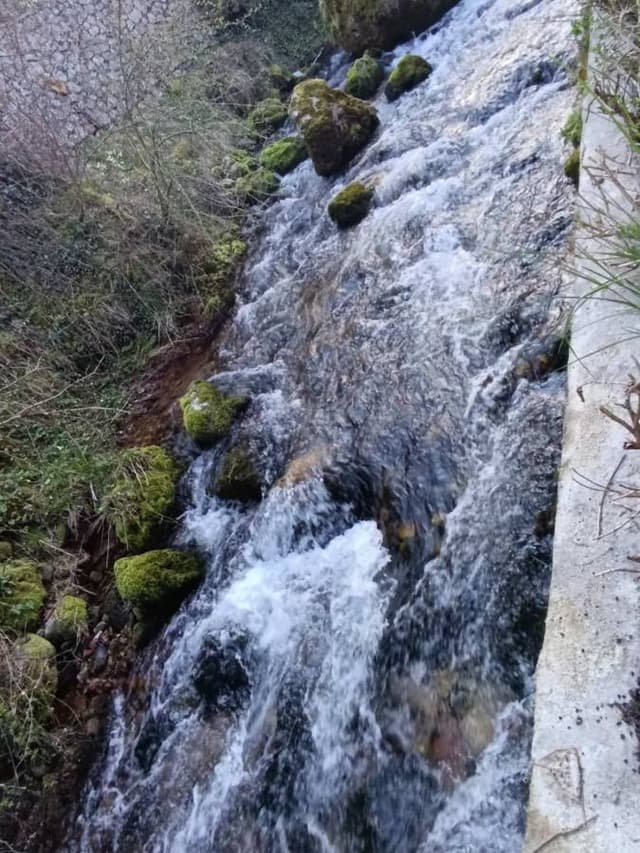 Foto 4 von Magdalenka M. (12.4.26)