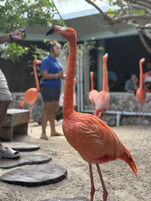 Foto 3 de JUAN GUILLERMO N. (6/1/26)