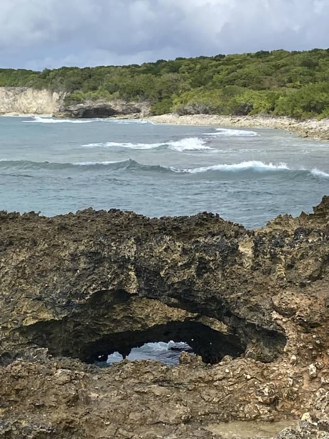 Foto 3 van Eibert V. (18-2-26)